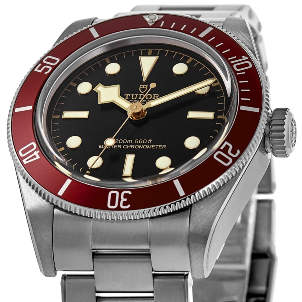 Tudor Black Bay 41 M7941A1A0RU-0001 Stainless Steel 2