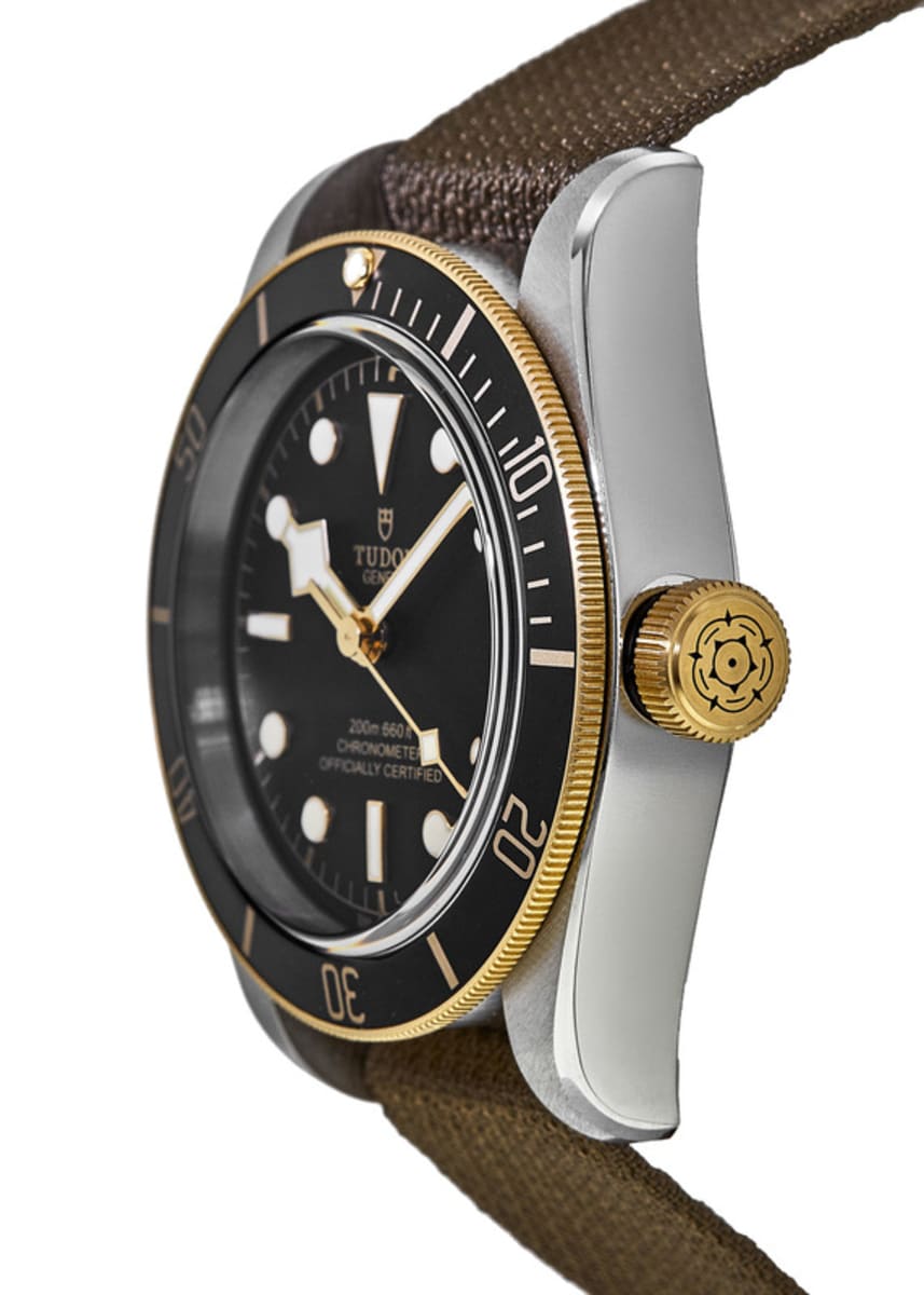 Tudor Black Bay 41 M79733N-0005 Stainless Steel 2