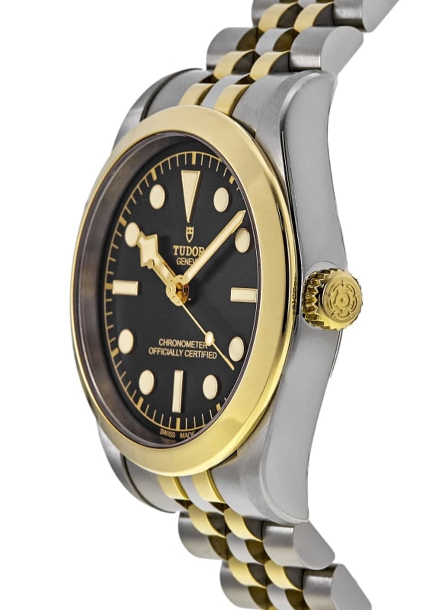 Tudor Black Bay 36 M79643-0001 Yellow Gold & Stainless Steel 3