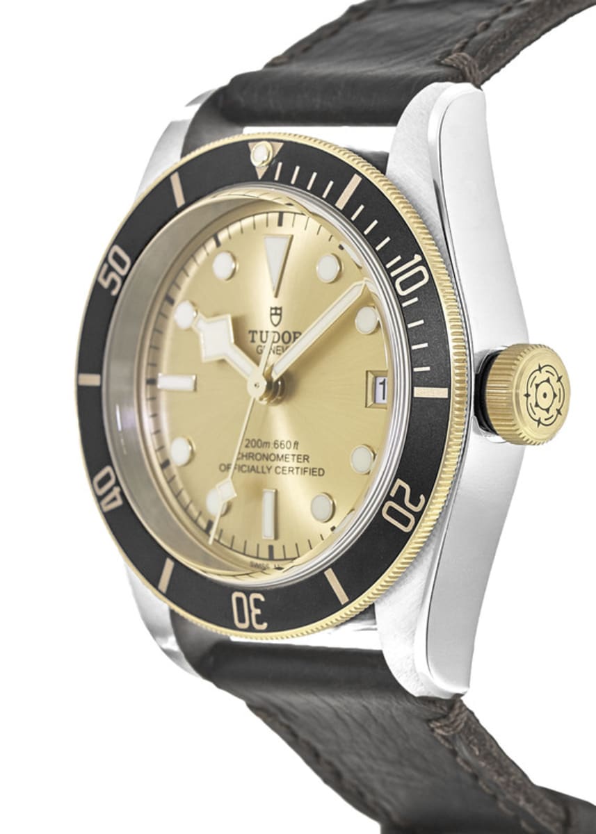 Tudor Black Bay 41 M79733N-0003 Stainless Steel 3