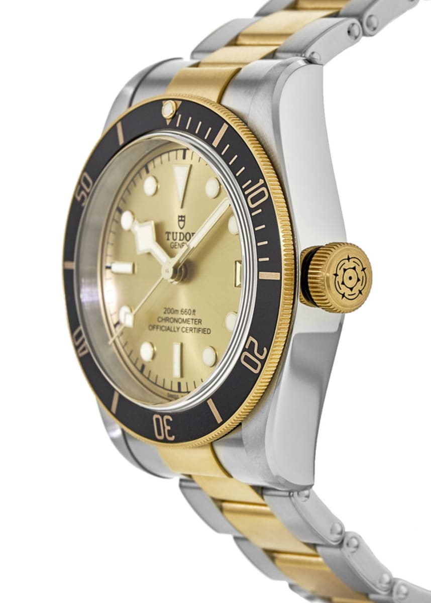 Tudor Black Bay 41 M79733N-0004 Stainless Steel 3