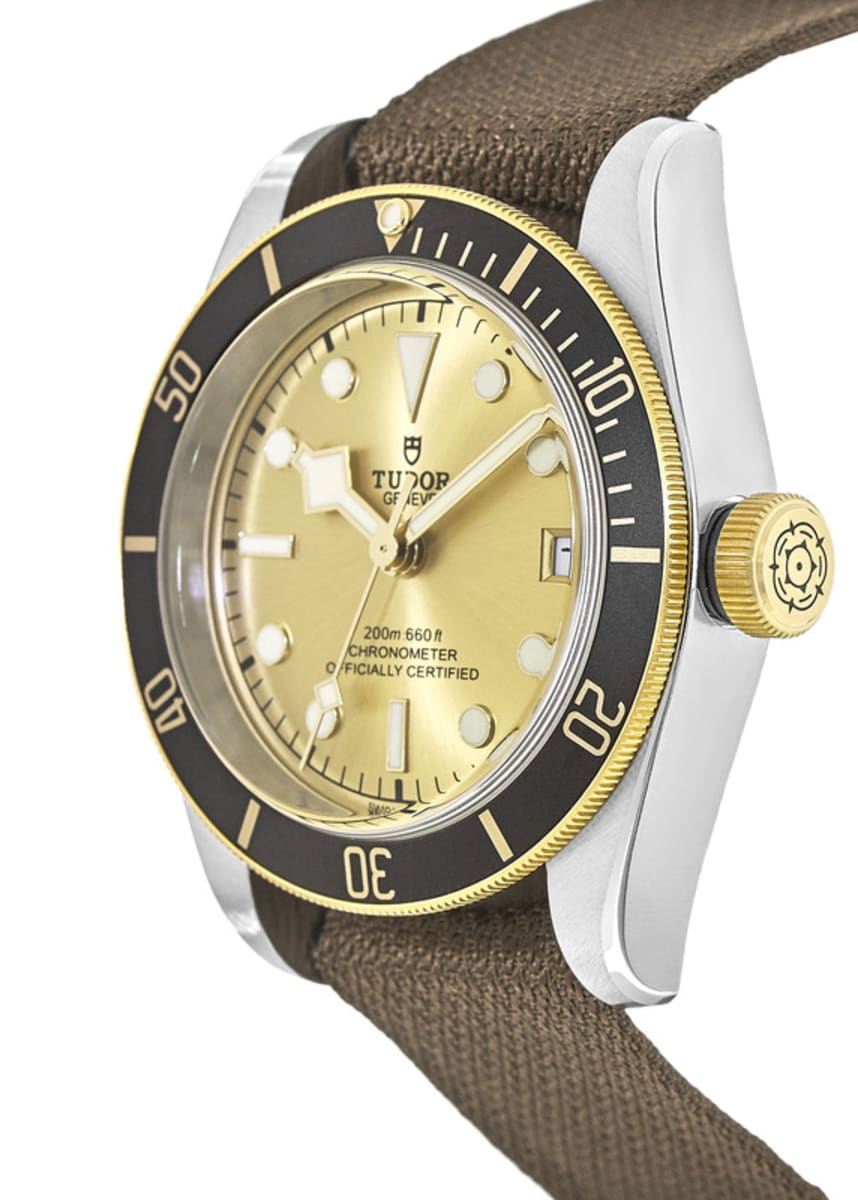 Tudor Black Bay 41 M79733N-0006 Stainless Steel 3