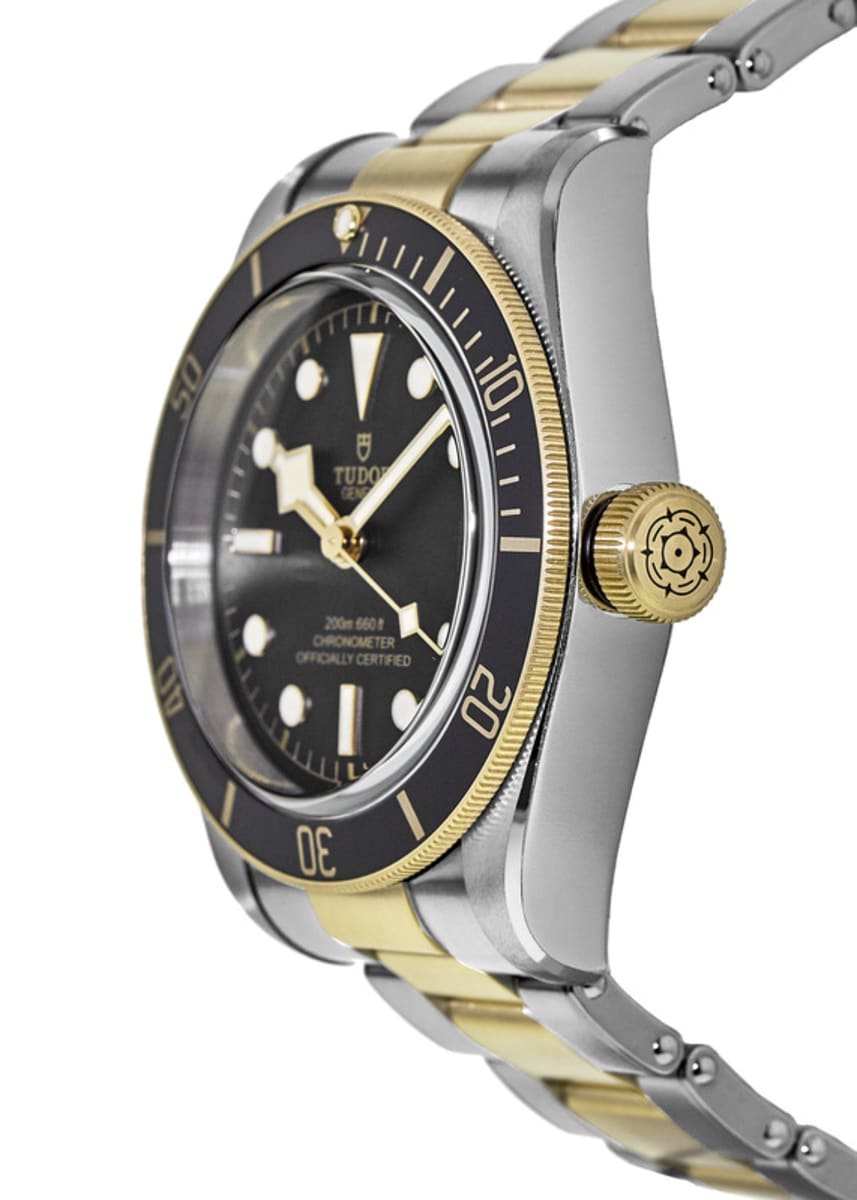 Tudor Black Bay 41 M79733N-0008 Stainless Steel 3