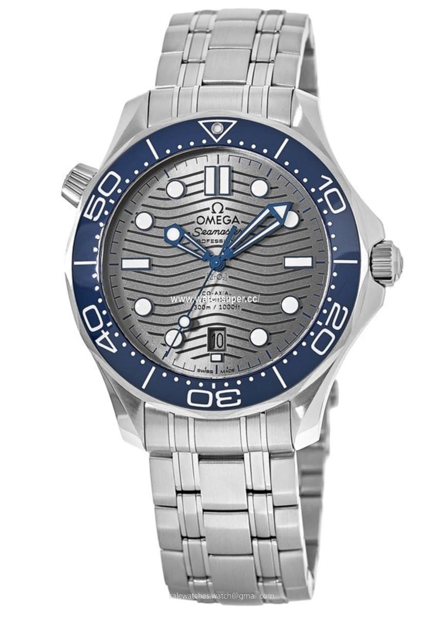Omega Seamaster Diver 300M 210.30.42.20.06.001 Stainless Steel Watch