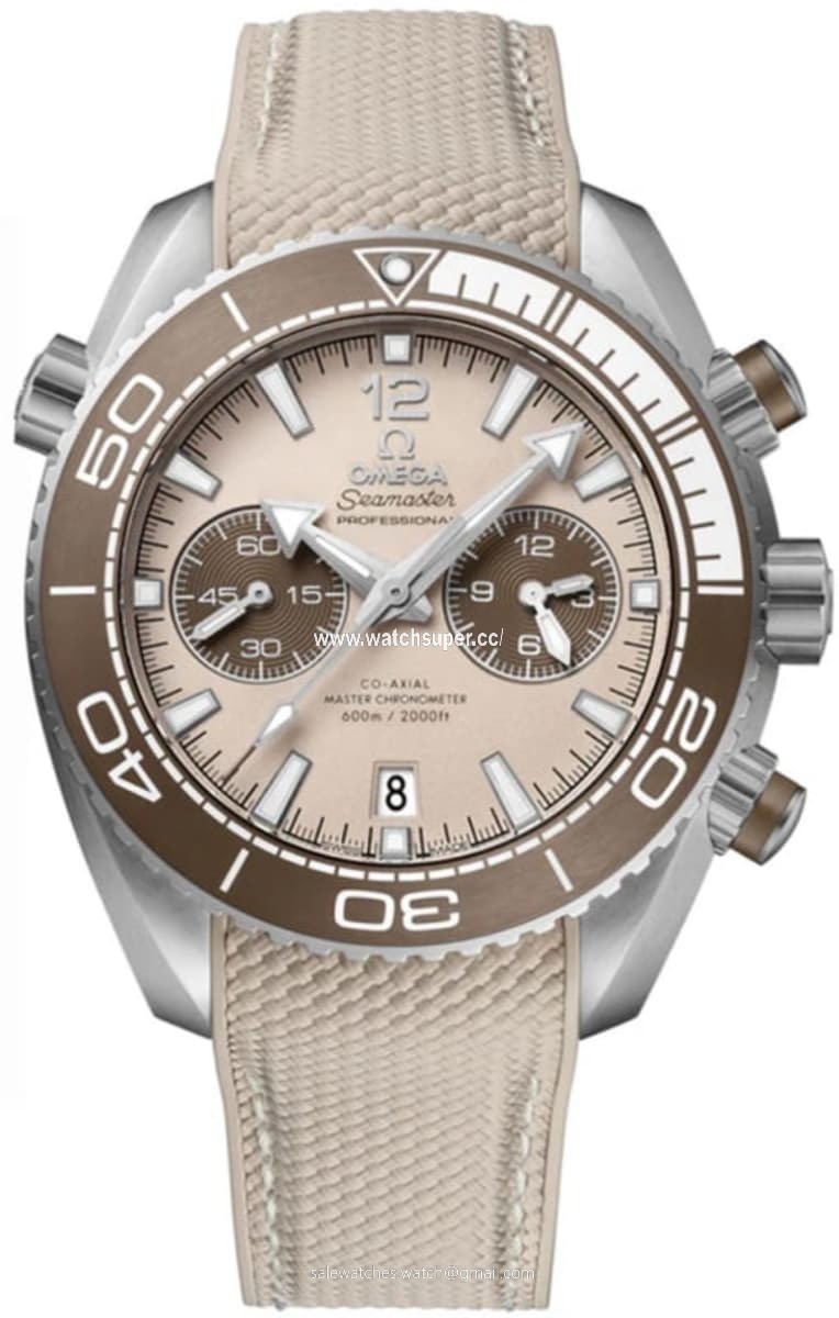 Omega Seamaster Planet Ocean 600M 45.5mm 215.32.46.51.09.001 Stainless Steel Watch