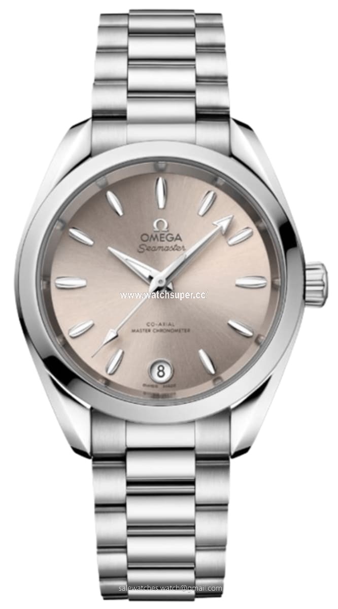 Omega Seamaster Aqua Terra 220.10.34.20.09.001 Stainless Steel Watch