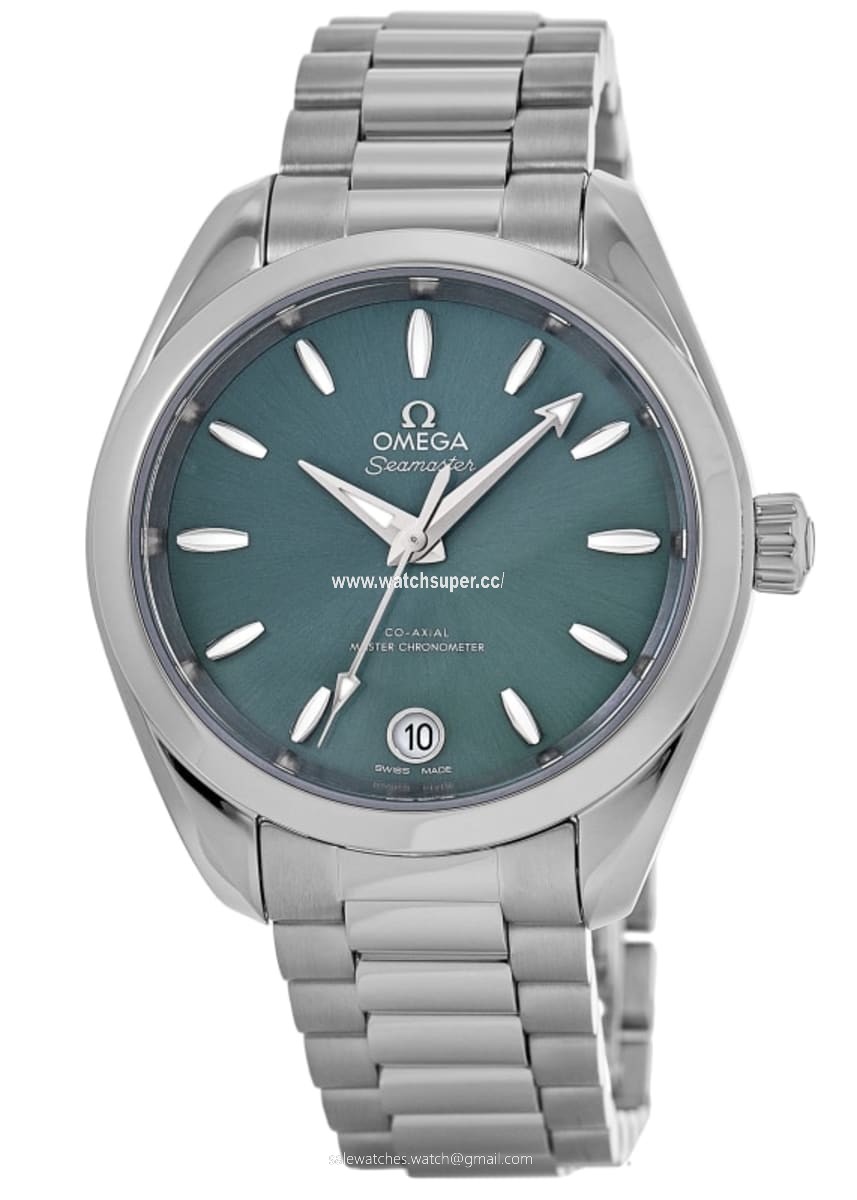 Omega Seamaster Aqua Terra 220.10.34.20.10.001 Stainless Steel Watch