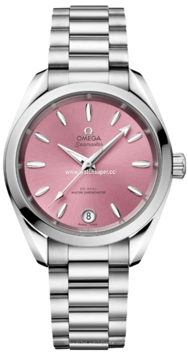 Omega Seamaster Aqua Terra 220.10.34.20.10.003 Stainless Steel Watch