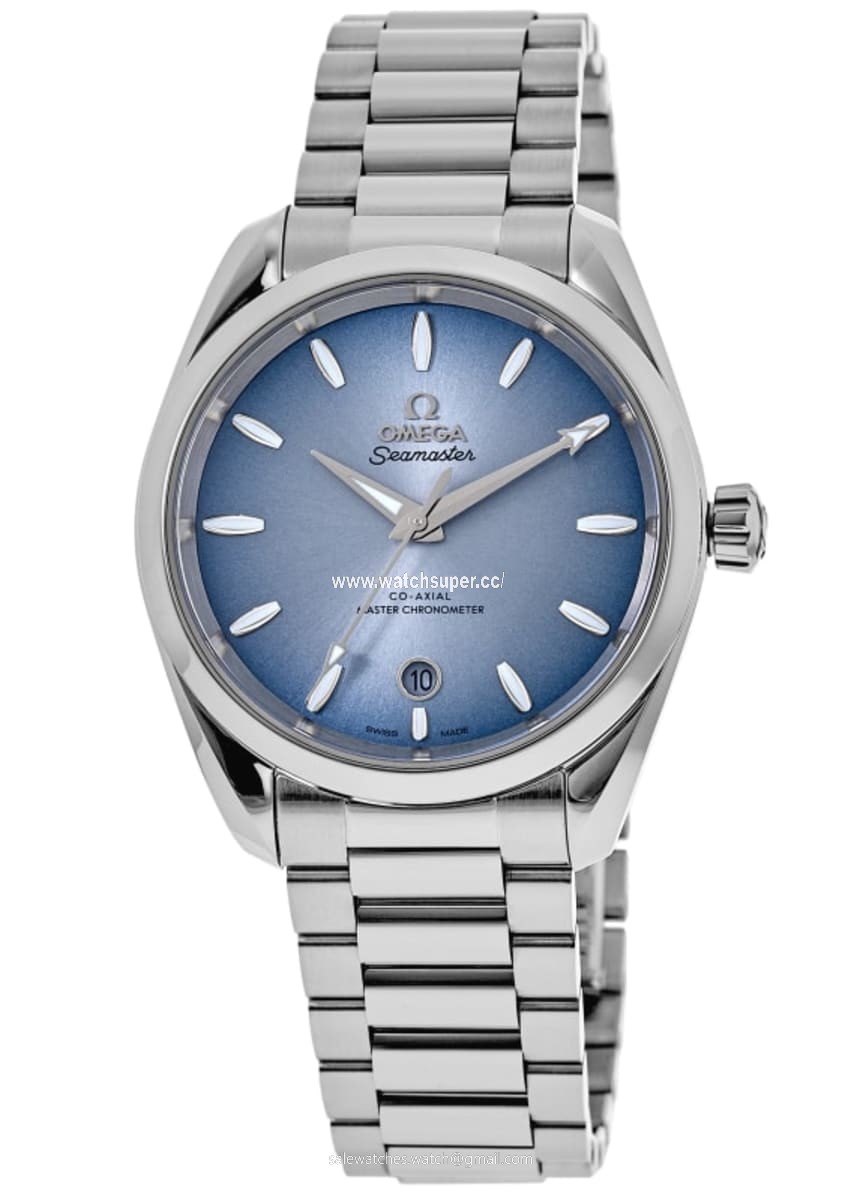 Omega Seamaster Aqua Terra 220.10.38.20.03.004 Stainless Steel Watch