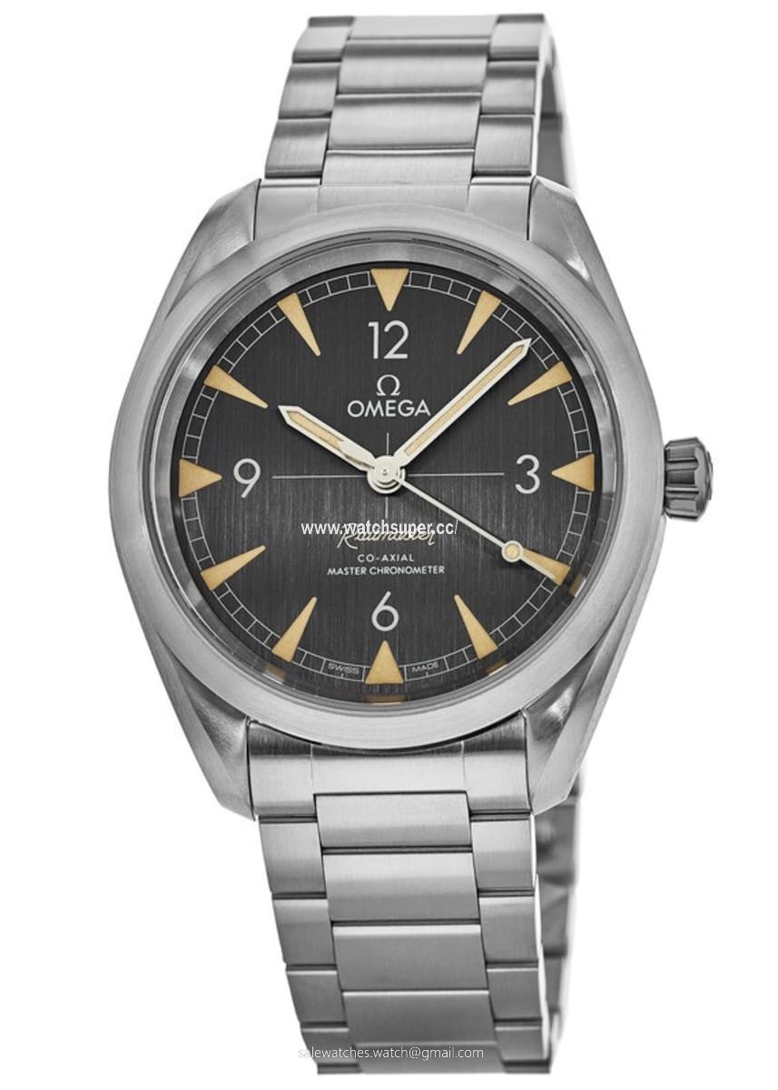 Omega Seamaster Railmaster 220.10.40.20.01.001 Stainless Steel Watch