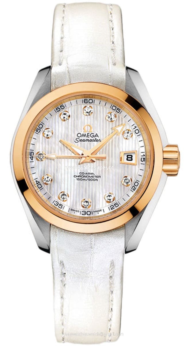 Omega Seamaster Aqua Terra  231.23.30.20.55.002 Gold & Stainless Steel Watch