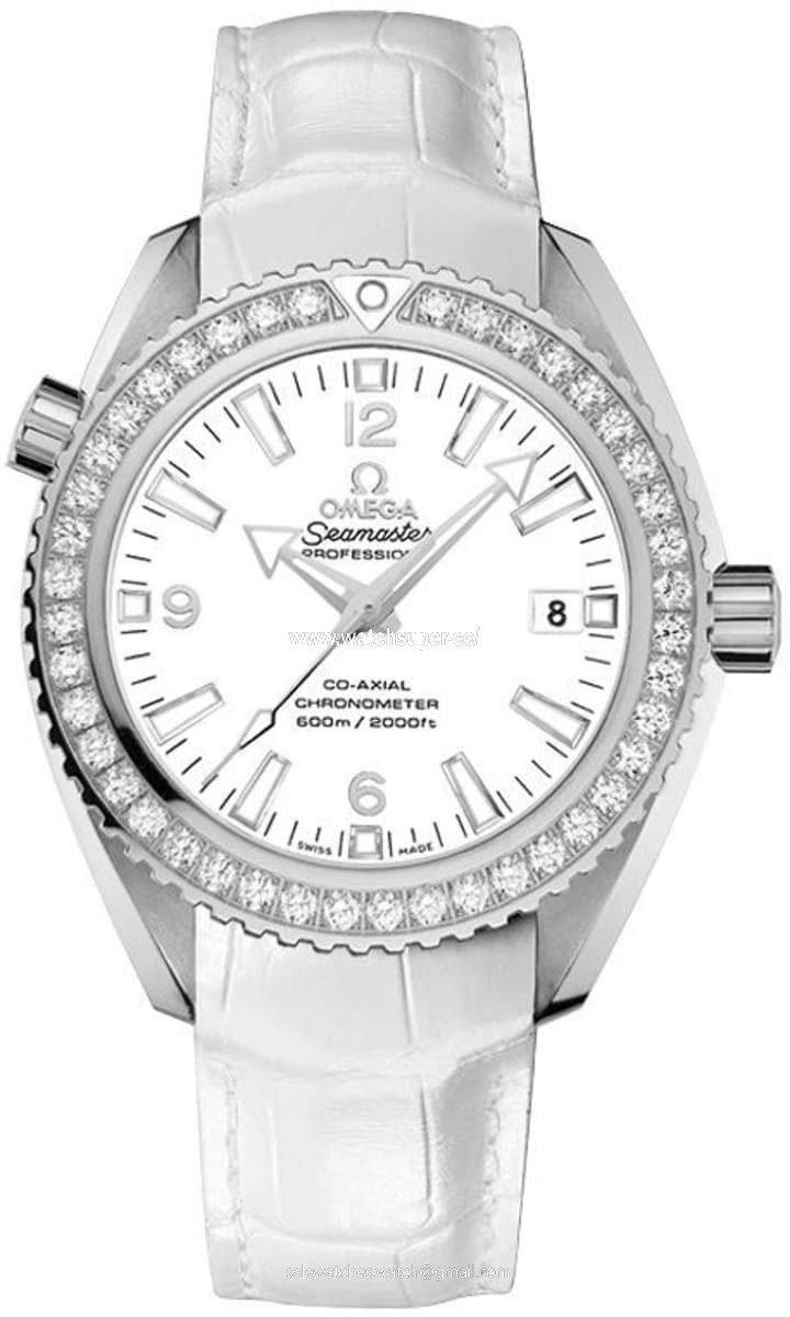 Omega Seamaster Planet Ocean 600M 42mm 232.18.42.21.04.001 Stainless Steel Watch