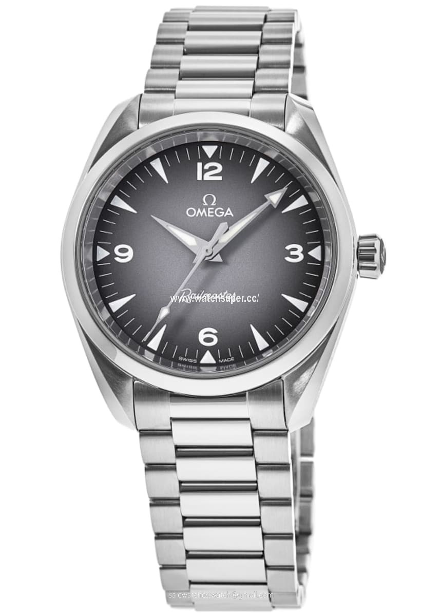 Omega Seamaster Railmaster 235.10.38.20.06.001 Stainless Steel Watch
