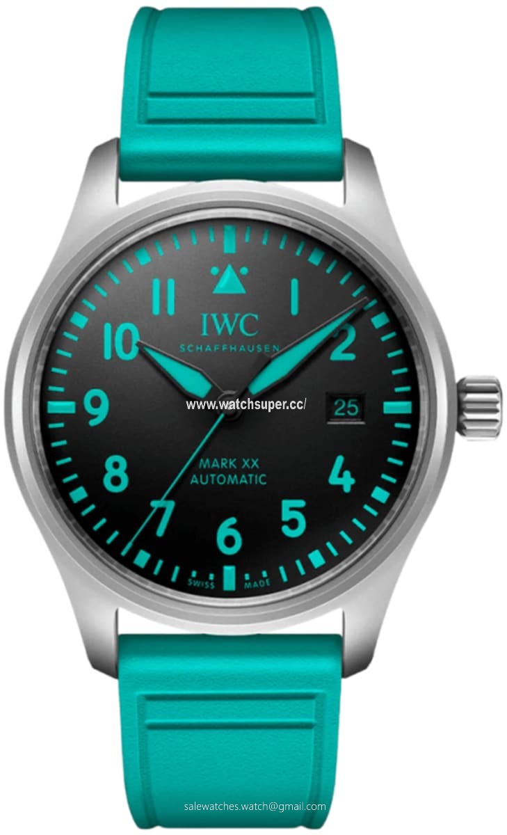 IWC Pilot's Mark XX IW328210 Titanium Watch