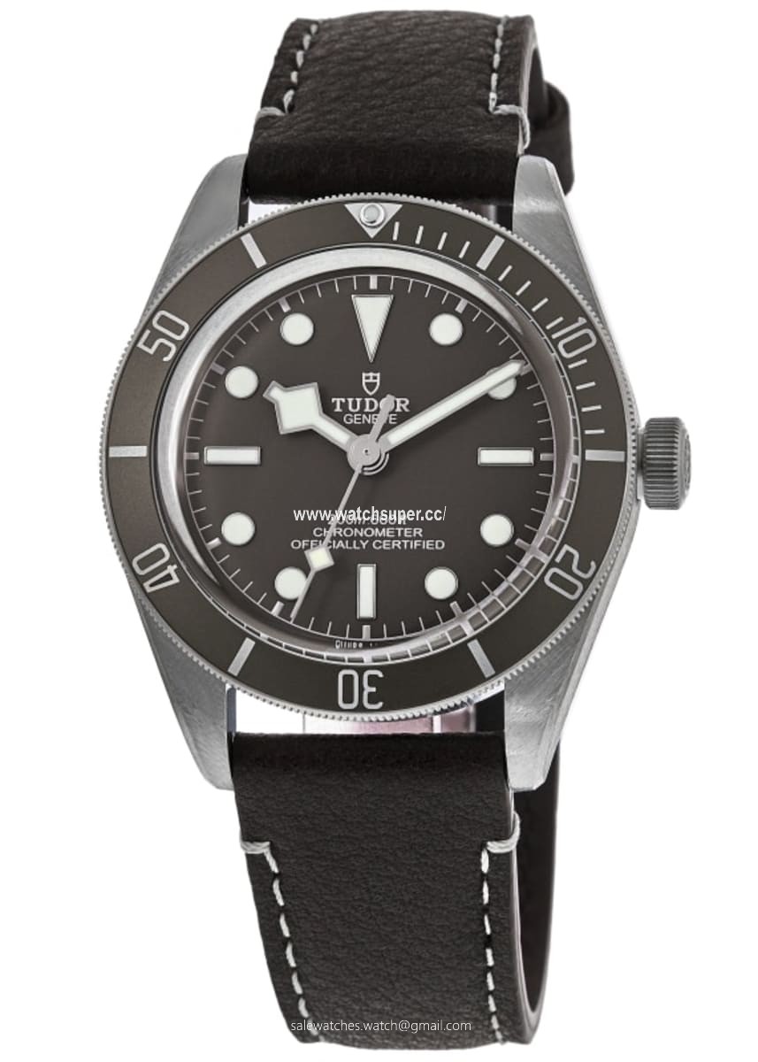 Tudor Black Bay Fifty-Eight M79010SG-0001 Silver Watch