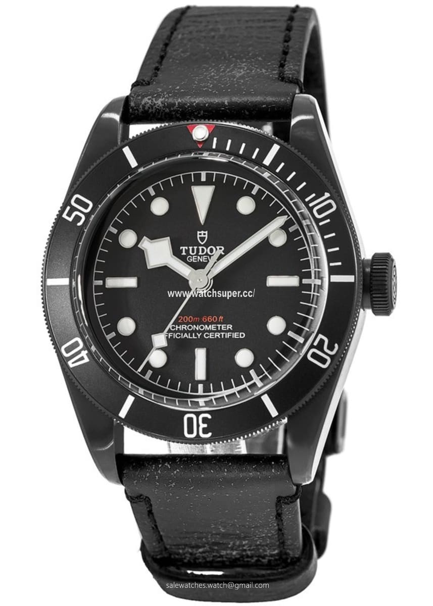 Tudor Heritage Black Bay  M79230DK-0004 Stainless Steel Watch