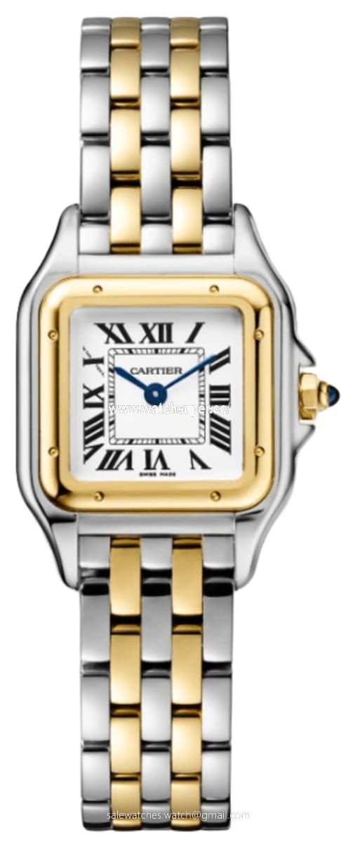 Cartier Panthere de Cartier Small W2PN0013 Yellow Gold & Stainless Steel Watch